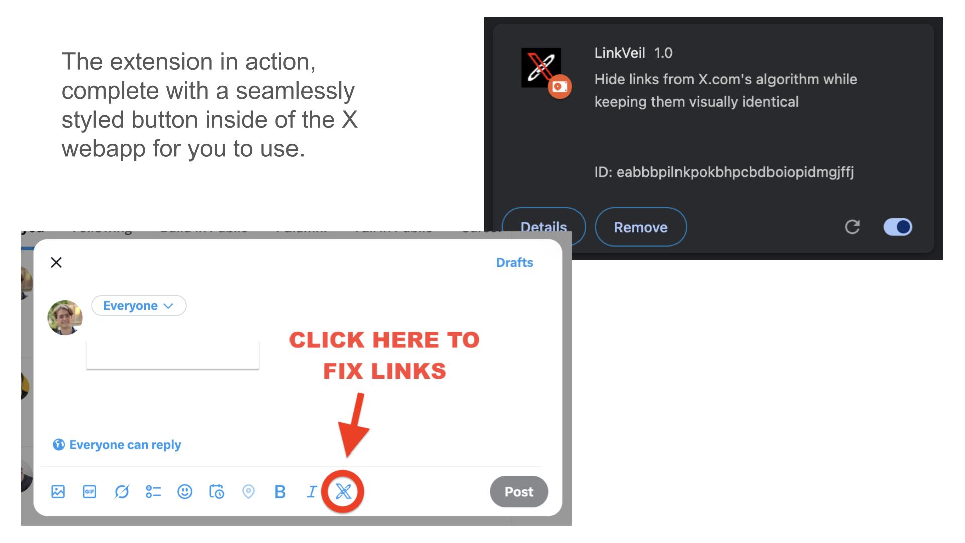 LinkVeil screenshot 2